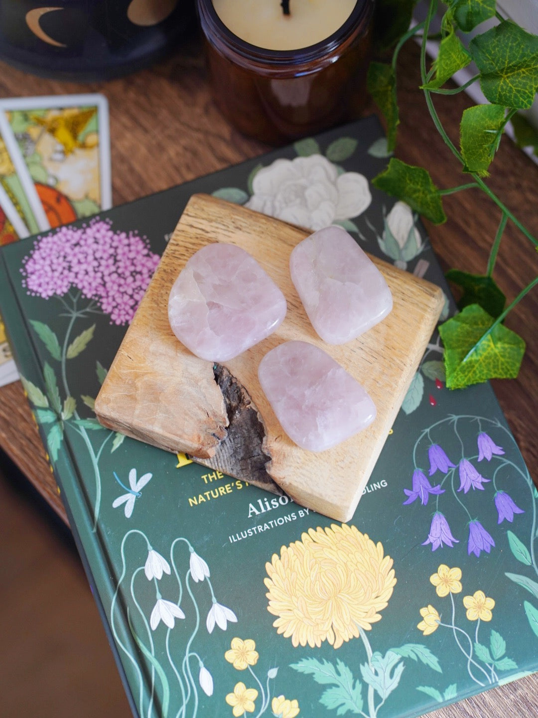 Rose Quartz Smooth Palmstone