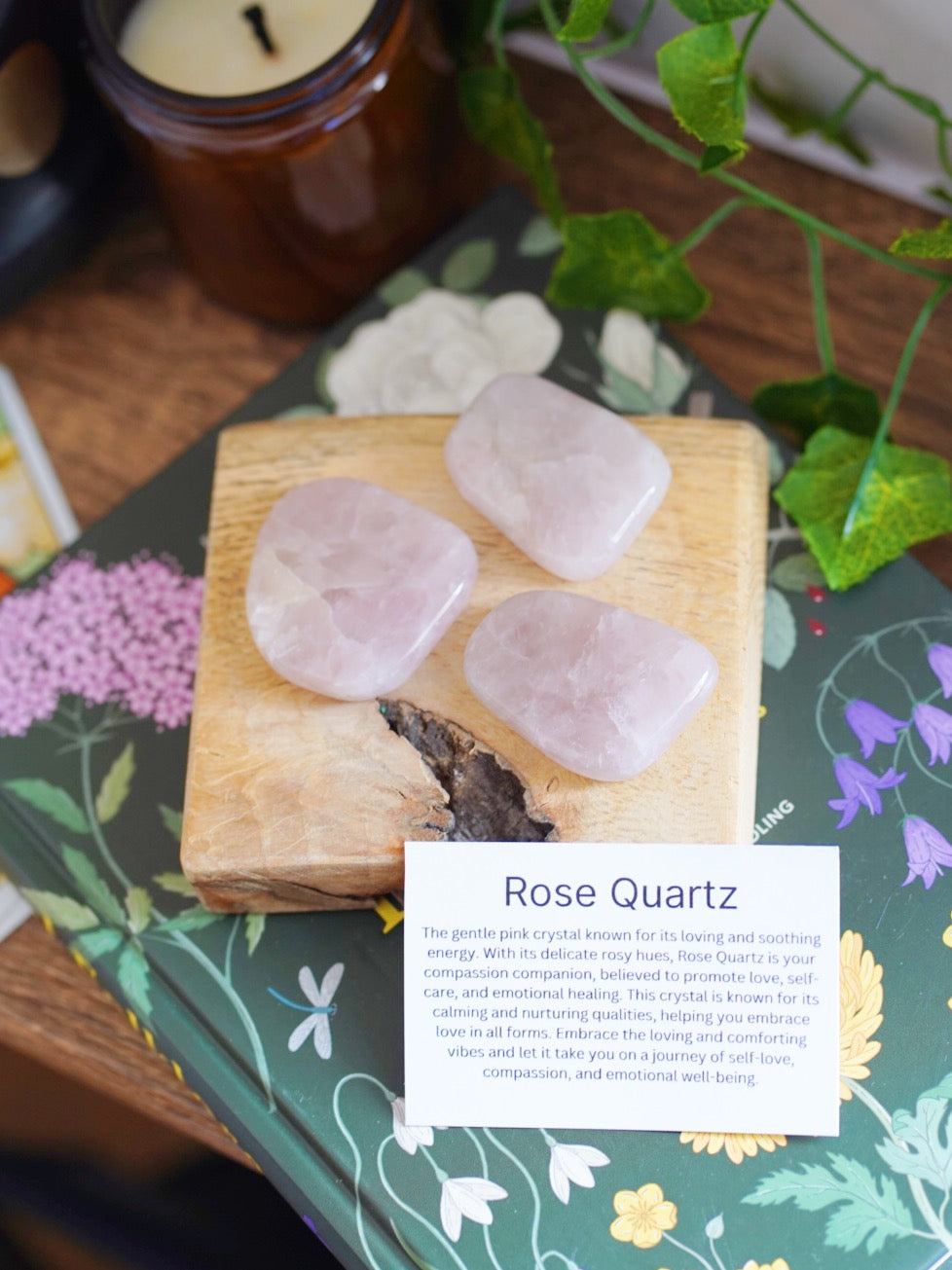 Rose Quartz Smooth Palmstone With Description Card