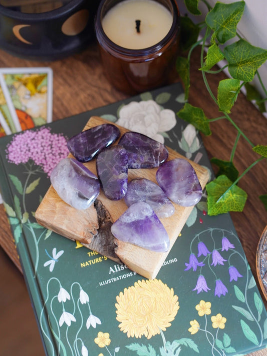 Amethyst Smooth Palmstones