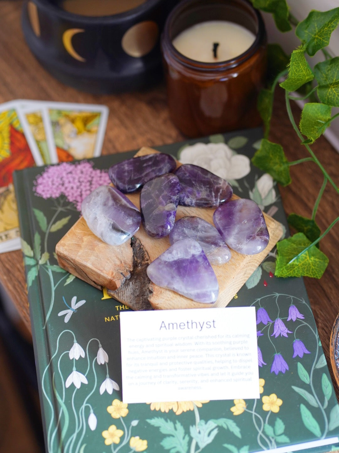 Amethyst Smooth Palmstones With Description Card