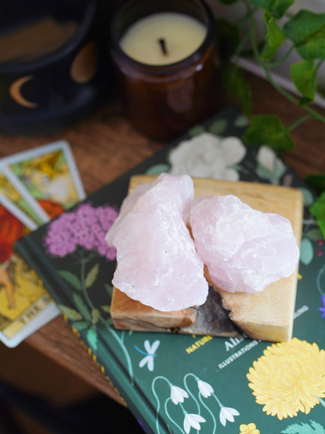 Rough Rose Quartz Crystal